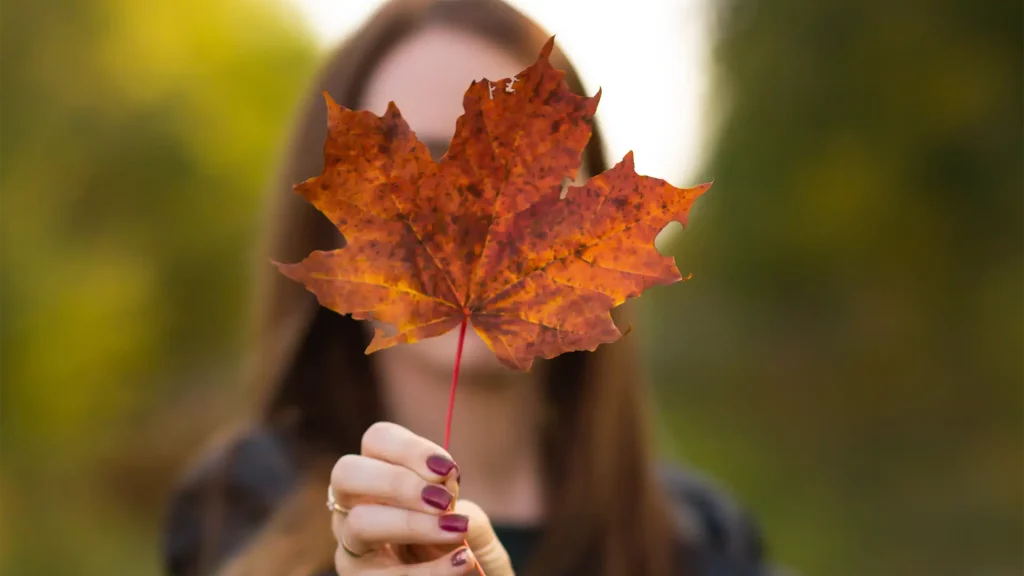 Primer plano de una hoja de arce con colores de otoño que cubre el rostro de una mujer